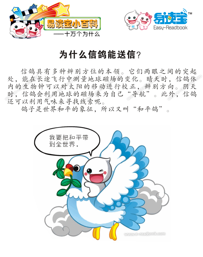 鸽子怎么送信